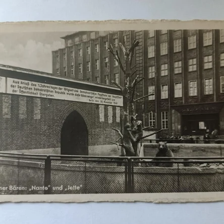 Медведи в берлинском зоопарке 1941 г.